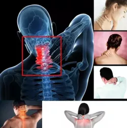 Массажная накидка для кресла Massage - вибрация, разминание, инфракрасный прогрев, 5 роликов, 2 режима, питание 220В/12В, для дома и автомобиля thumbnail