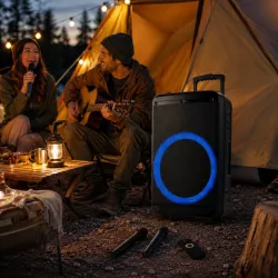 Портативная колонка ZXX-7676 с Bluetooth и TWS - 60Вт, 2 микрофона, пульт ДУ, USB/SD/FM, 12-дюймовый динамик thumbnail
