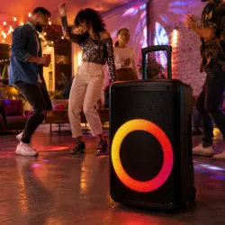 Портативная акустическая система ZXX-7878 - 15 дюймов, Bluetooth, TWS, FM, USB, SD, 2 микрофона, RGB-подсветка, пульт ДУ thumbnail