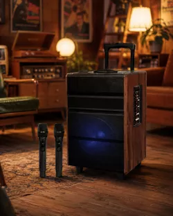 Портативная колонка UKC ART LIVE 12A+ - 1200 Вт, Bluetooth, USB, SD, FM, аккумуляторная, до 7 часов автономной работы thumbnail
