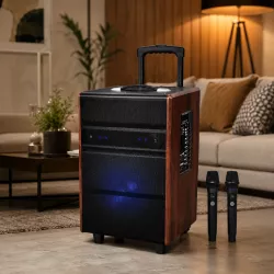 Портативная акустическая система UKC ART LIVE 15A+ - 1400 Вт, Bluetooth, USB/SD, FM-радио, караоке, 2 микрофона thumbnail