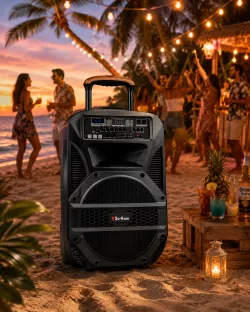 Портативная колонка Su-Kam BT115D - Bluetooth, USB, FM-радио, караоке с 2 микрофонами, Bass Boost, аккумуляторная thumbnail