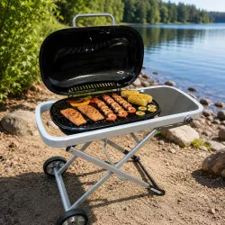 Газовый гриль Weber Traveler - Портативный, складной с колесами, размер 100x45x80 см, серый/черный thumbnail