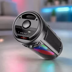 Портативная Bluetooth колонка KTS-2430 - 2 динамика по 4 дюйма, беспроводной микрофон, FM/USB/TF/AUX, аккумулятор 1200 мАч thumbnail