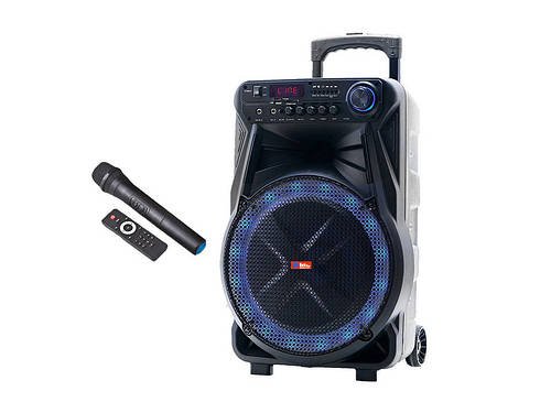Акустична переносна колонка SS-7171 600Вт 12" 54х35х30см USB/SD/FM/BT/MIC/ДК