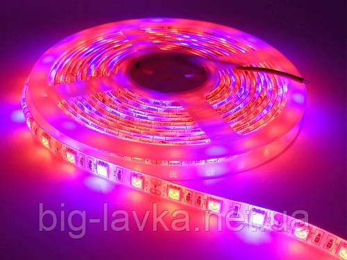 LED фітолента для росту рослин з повним спектром (4 червоних, 1 синіх) 5 м