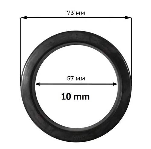 Кільце FAEMA 73/57 10 mm. ущільнювальне для груп холдера кавомашини 58 діаметр