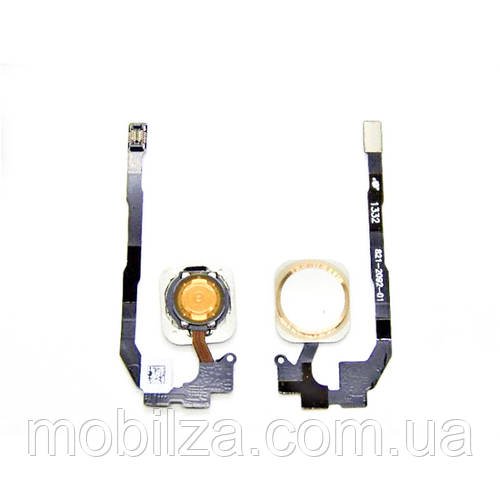 Шлейф з кнопкою Home для iPhone 5S White/Gold