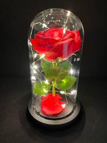 Вічна троянда з Led підсвічуванням Червона HP227