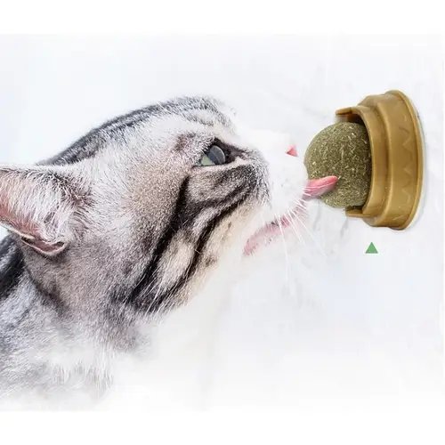 Ласощі з м'ятою для кішок із котяча м'ята, льодяник для котів, кулька, що Крута, з м'ятою на липучці HP227