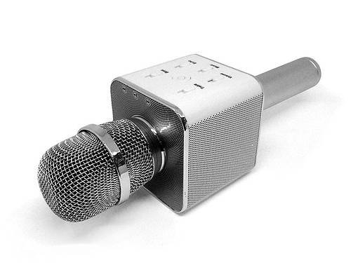 Бездротовий караоке мікрофон EASY з динаміками в чохлі Bluetooth USB Q7