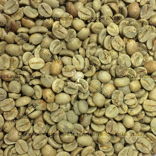 Арабіка Бразилія Сантос (Arabica Brazil Santos) 200г. ЗЕЛЕНА кава